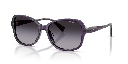 Ralph by Ralph Lauren RA 5351U Sunglasses - image 2