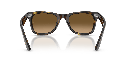 Ray-Ban Wayfarer Ease RB 4340 Sunglasses - image 3