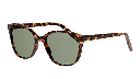 Seen NE6008 Sunglasses - image 2