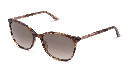 Palazzo GL 0207-S Sunglasses - image 2