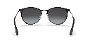 Ray-Ban Erika Metal RB 3539 Sunglasses - image 3