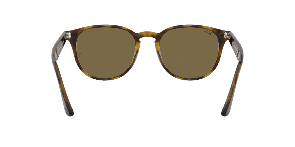 Ray-Ban RB 4259 Sunglasses - image 3
