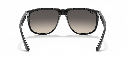 Ray-Ban Boyfriend RB 4147 Sunglasses - image 3