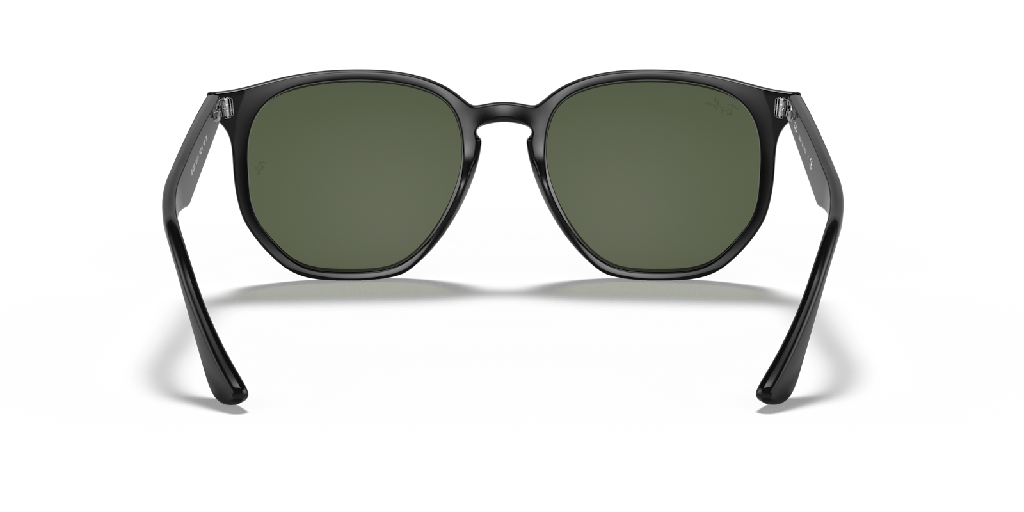Ray-Ban RB 4306 Sunglasses - image 3