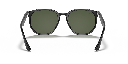 Ray-Ban RB 4306 Sunglasses - image 3