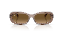 Ray-Ban RB 2221 Sunglasses
