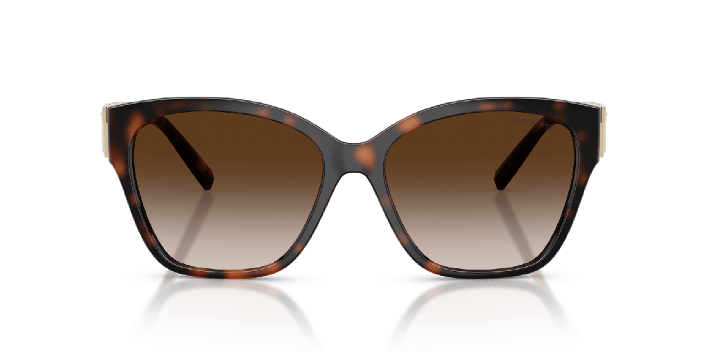 Tiffany & Co TF 4254U Sunglasses