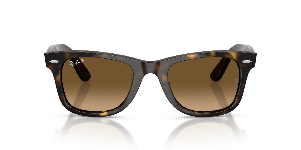Ray-Ban Wayfarer Ease RB 4340 Sunglasses