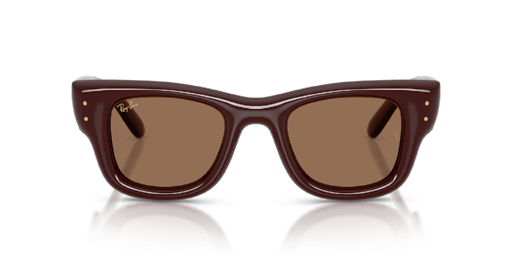 Ray-Ban Wayfarer Puffer RB 4940 Sunglasses