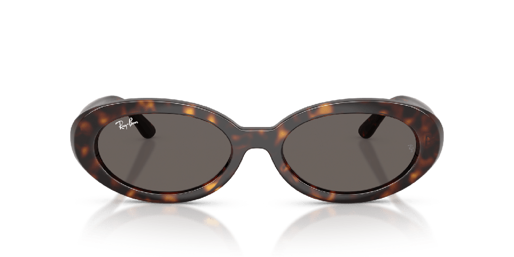 Ray-Ban RB 2223 Sunglasses