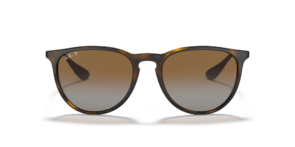 Ray-Ban Erika Classic RB 4171 Sunglasses