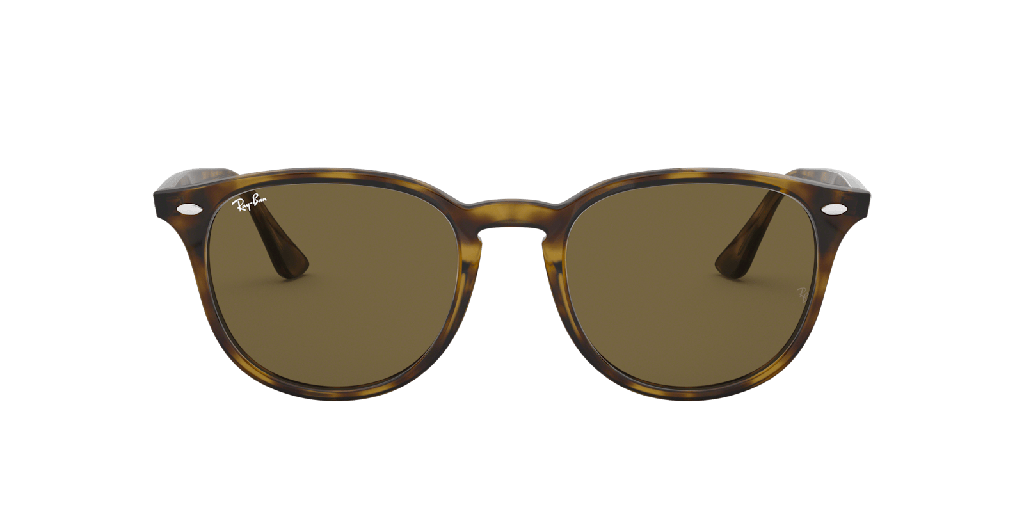 Ray-Ban RB 4259 Sunglasses