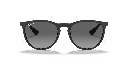 Ray-Ban Erika Colour Mix RB 4171 Sunglasses