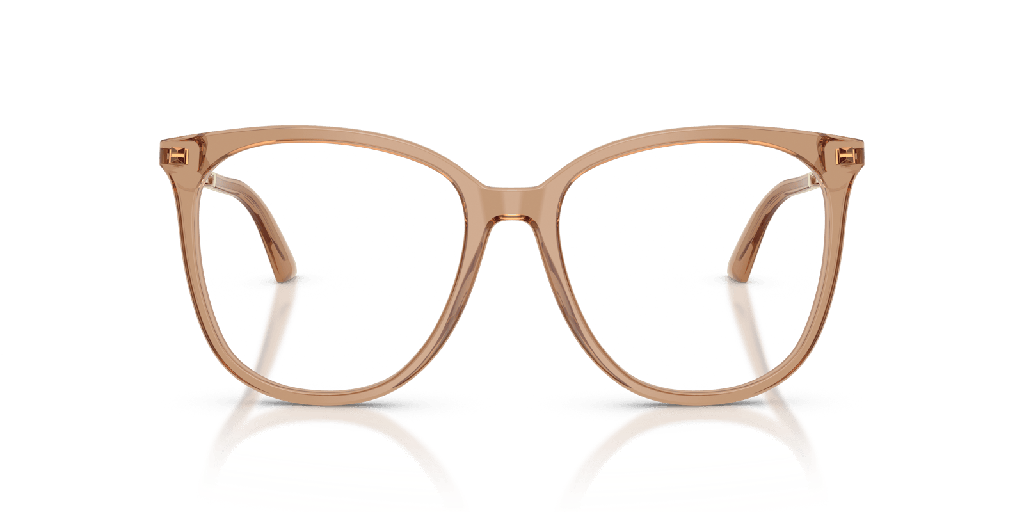 Jimmy Choo JC 3060 Glasses