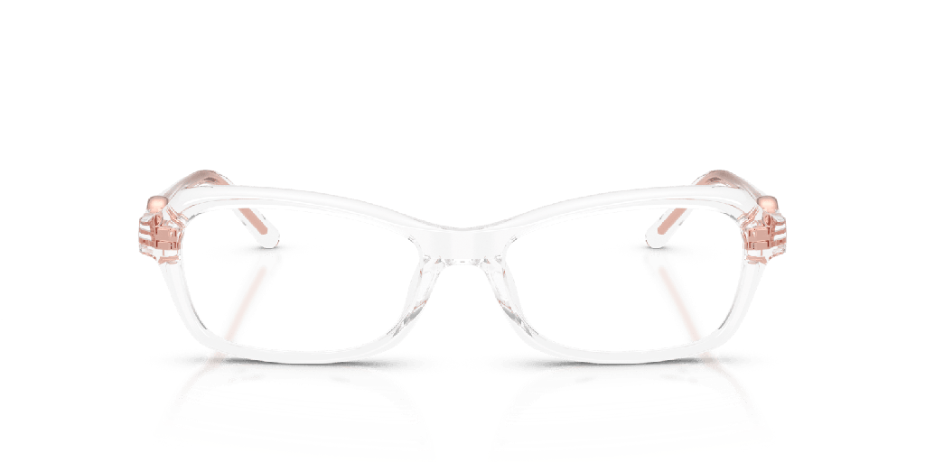 Michael Kors Hakone MK 4182U Glasses