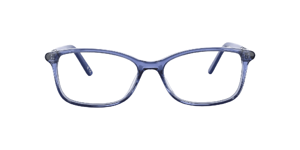 Palazzo SP03C Glasses