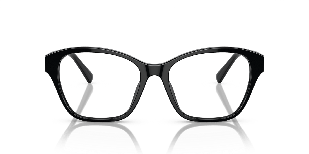Ralph Lauren RL 6236U Glasses