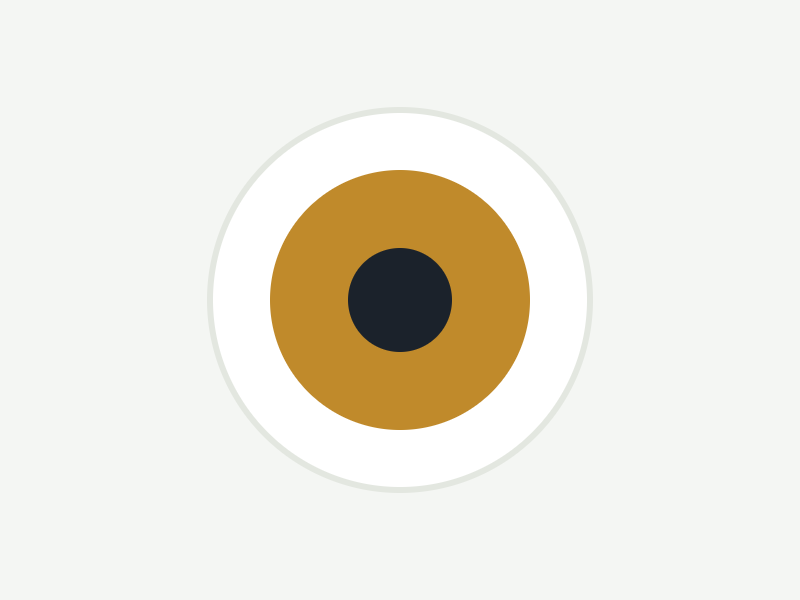 Bella Colour Lenses