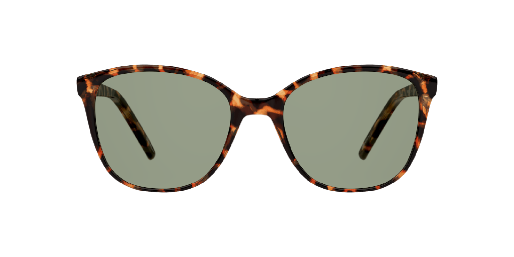 [1285582002] Seen NE6008 Sunglasses