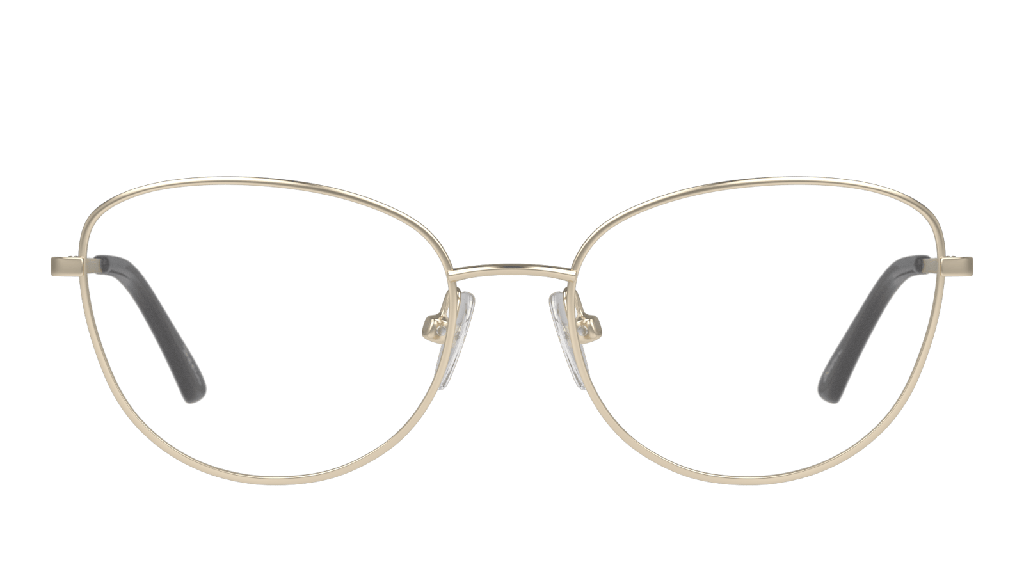 [60047520] Seen SN F5007 Glasses